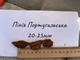Кора хвойна пінія 20–25 мм для орхідей і фаленопсисів португальська 1 л - зображення 3