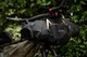 Вело руль для туризма и MTB, Selcof Expedition Handlebar 760 мм, туристический велоруль, черный матовый - изображение 5