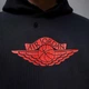 Худи Air Jordan Rare Air Black IB3003-010 S - изображение 4