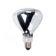 Лампа інфрачервона Helios IR1 250W 230V E27 R123CL (прозора) - зображення 1