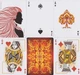 Карти гральні ELLUSIONIST IGNITE - зображення 3