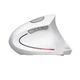 Мышка Trust Verto Ergonomic White (25132) - изображение 5