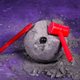 Набір Lisciani The Moon Academy Місячна лабораторія PL105663 (8008324108022) - зображення 2