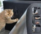 Антикіготь Захисне покриття для дивану меблів та шпалер 60х60 см Cat Protect Кігтеточка самоклеюча Сірий 1 шт - изображение 2