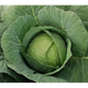 Капуста белокочанная Ольга 10 г ТМ Вкусный - изображение 1