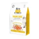 Сухой корм Brit Care Cat GF Haircare Healthy & Shiny Coat для кошек с длинной шерстью требующих ухода за кожей и шерстью с лососем и курицей 0,4 кг (171307) - изображение 1