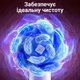 Электрическая зубная щетка Bitvae R2 Rotating с футляром и 8 насадками black + косметичка - изображение 8