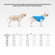 Куртка двостороння AiryVest UNI, розмір M 43, блакитно-чорна - изображение 2