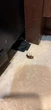 Захист від Великих Тарганів. Станції Combat Roach Killing bait/ловушка - изображение 3