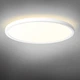 Потолочный светильник VIDEX VL-DL5R-22CW White - изображение 9
