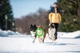 Кільце для апортування Collar PitchDog діаметр 17 см (4823089302386) - изображение 7