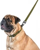 Поводок EVOLUTOR Ширина 25 мм Длина 300 см Хаки (421331collar) - изображение 3