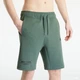 Шорты Helly Hansen Move Sweat Shorts Green 53710-476 L - изображение 2
