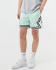 Шорты Air Jordan Sport Dri-Fit Diamonds Light Blue Dh9075-379 S - изображение 3