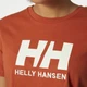 Футболка Helly Hansen Logo T-Shirt Orange 34112-179 S - изображение 3