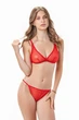 Женский комплект из сеточки Felisiya Lingerie Красный 2007+204-100с XL - изображение 2
