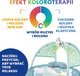 Mata edukacyjna z melodiami i projektorom Chicco First Dreams Enjoy Colours 3 w 1 Niebieska (8058664112548) - obraz 11