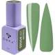 Гель лак DNKa Gel Polish №065 12 мл - изображение 1
