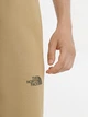 Штаны The North Face Tekno Hoodie Yellow Beige NF0A47B870M L - изображение 3