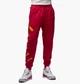 Штани Air Jordan Flight Mvp Red FB7027-619 L - зображення 1