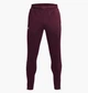 Штаны Under Armour Terry Bordo 1366265-600 XXL - изображение 1