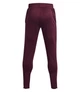 Штаны Under Armour Terry Bordo 1366265-600 XXL - изображение 2