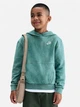 Детское худи для мальчика Nike K Nsw Wash Po Hoodie Ft IH2375-361 S 128-137 см Bicoastal/White (198481209637) - изображение 1