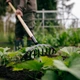 Грабли для роз Fiskars Solid с деревянной ручкой (1011597) - изображение 3