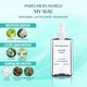 Парфюмированная вода для женщин Parfumers World (версия My Way ARMANI) 110 ml - изображение 2