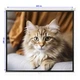 Проекционный экран EQUIPIFY SGM-1103 настенный потолочный 100" 180x180см 1:1 - изображение 8