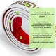 Молдинг Sticker Wall 3000х50х6 мм Белый с золотом SW-00002688 - изображение 3