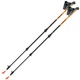 Палки для скандинавской ходьбы Gabel Carbon XT 3S-100 (7009351420000) - изображение 1