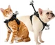 Uchwyt dla zwierząt Insta360 Pet Harness Mount Rozmiar S (6970357857654) - obraz 4