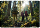 Kijki trekkingowe Neo Sport NS-380 (5903890621759) - obraz 10