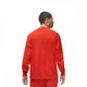 Лонгслив Air Jordan Brand Air Wordmark Longsleeve Orange FJ0702-622 L - изображение 3