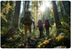 Kijki trekkingowe Neo Sport NS-383 (5903890621803) - obraz 11
