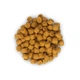 Сухой корм для котов Hills Science Plan Feline Adult 1-6 Tuna Тунец 10 кг - изображение 2