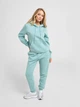 Худи на флисе женское Nike W Nsw Phnx Flc Std Po Hoodie HF6839-017 L Мятное (0198484955364) - изображение 9