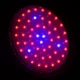 Бра LED фіто для рослин LED-46/50W 50 pcs IP20 GROW Brille L137-004 - зображення 3