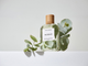 Woda perfumowana unisex Roos & Roos Globulus 100 ml (3760240890300) - obraz 3
