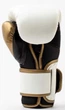 Боксерские перчатки Everlast POWERLOCK 2R TRAINING GLOVE белый, золотой Унисекс 12 унций - изображение 5
