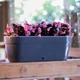 Горшок для цветов Santino Asti Window Box 12 л 50 х 17 х 20 см Антрацит-Белый (2021519) - изображение 4