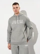 Худи утепленное мужское Puma Essentials Graphics 68466103 S Medium Gray Heather (4067983577451) - изображение 1