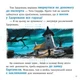Смурфи. Колекція історій. Цікаві смурфосторії - (9786170996428) - изображение 3