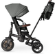 Rowerek trójkołowy Qplay Comfo Max Grey (5061047482285) - obraz 3