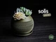 Горшок solis planter 3д печать - изображение 1