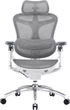 Fotel biurowy SIHOO DORO C300 Pro Mesh White (DORO-C300-PRO-M102) - obraz 1