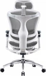 Fotel biurowy SIHOO DORO C300 Pro Mesh White (DORO-C300-PRO-M102) - obraz 2