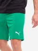 Спортивные шорты мужские Puma teamRise Short 704942-05 M Зеленые (4063699209839) - изображение 3