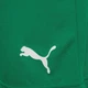 Спортивные шорты мужские Puma teamRise Short 704942-05 M Зеленые (4063699209839) - изображение 9